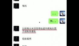 张恒爆料记录最新视频在线观看,揭秘事件真相，在线观看不容错过